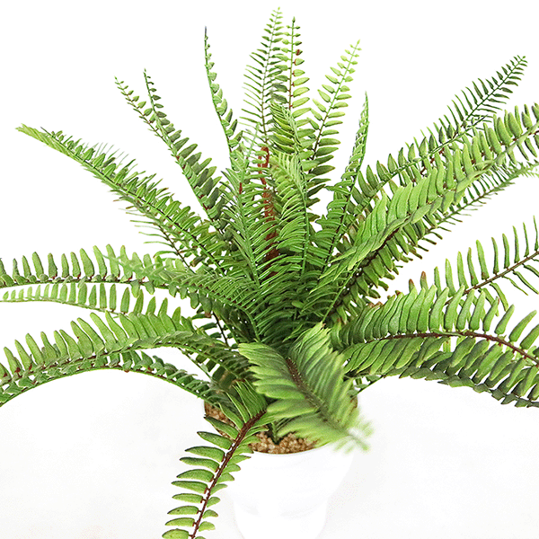 Faux Fern Bonsai