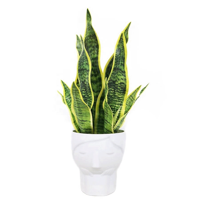 artificial sanseviera plant