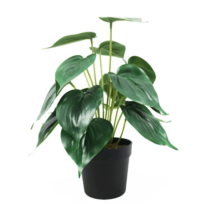 artificial pothos bonsai