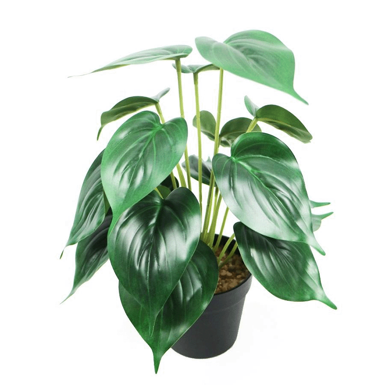 faux pothos plant