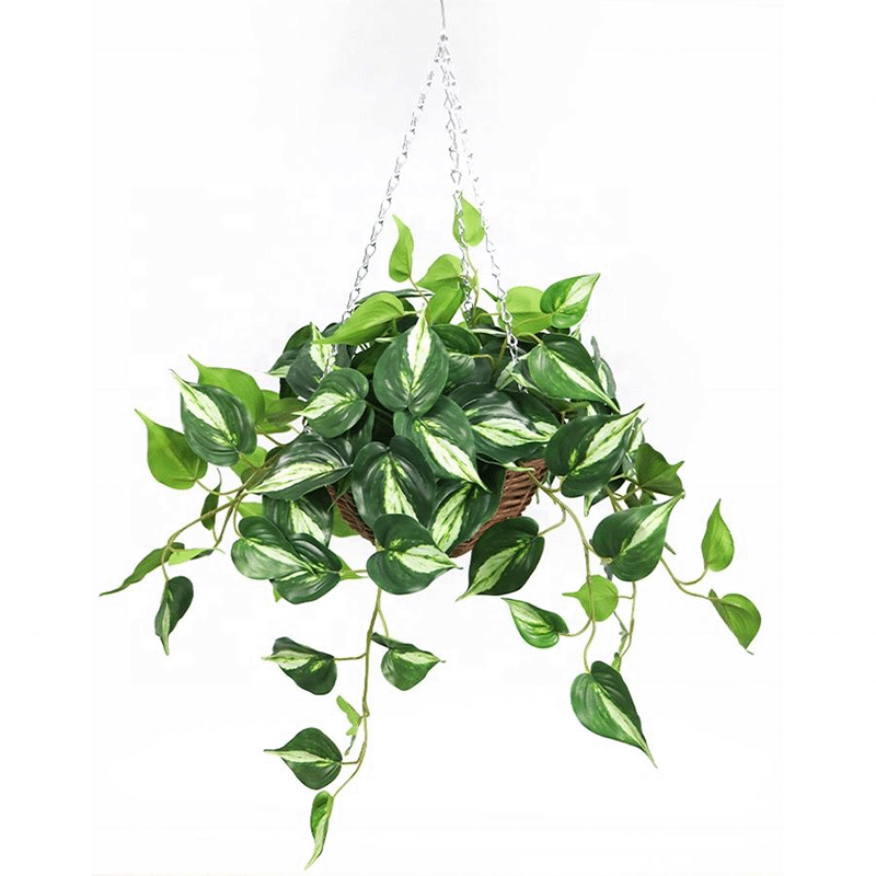 faux pothos hanging 
