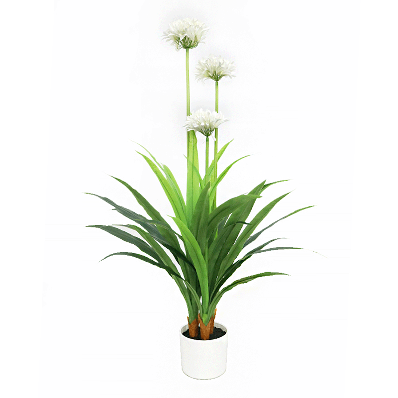 Fake Daffodil Plant