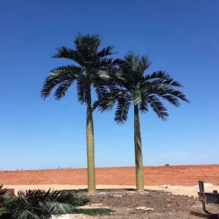 realistic fake royal coconut palm