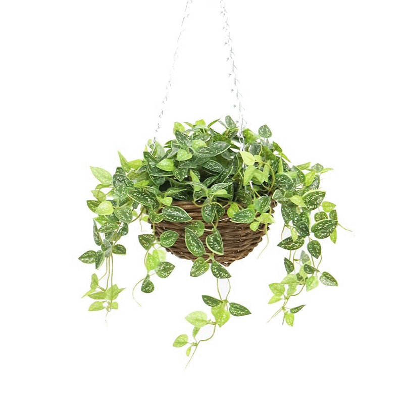 fake plant hanging basket