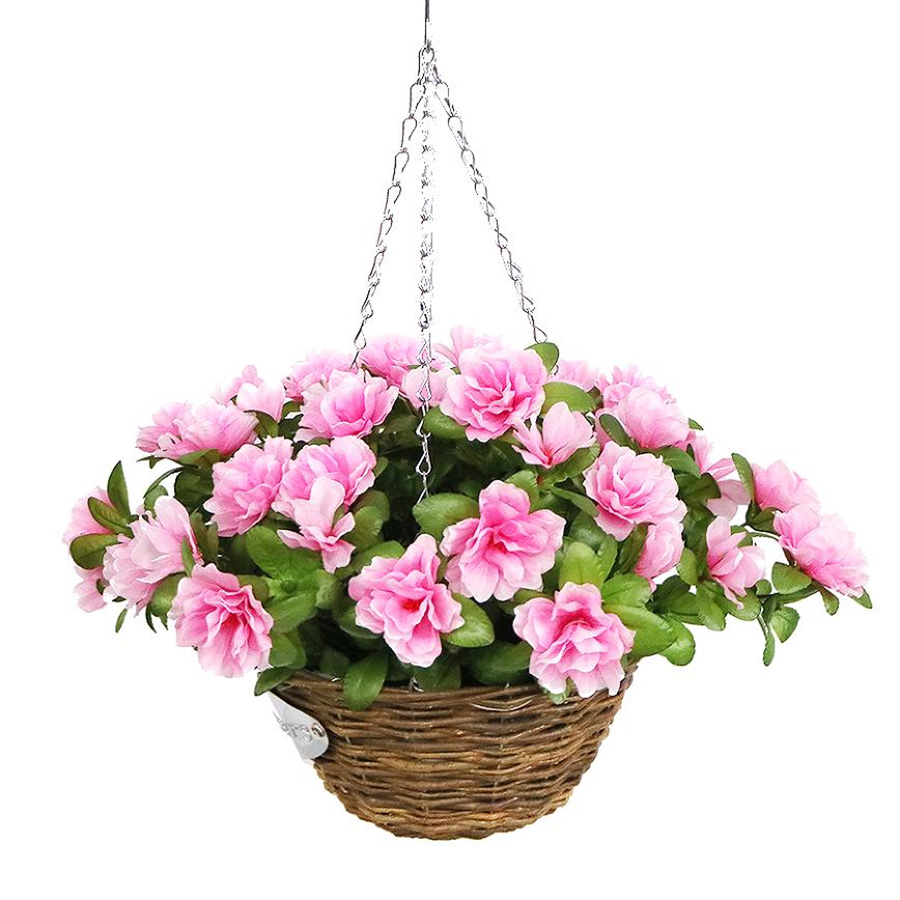 hanging plant