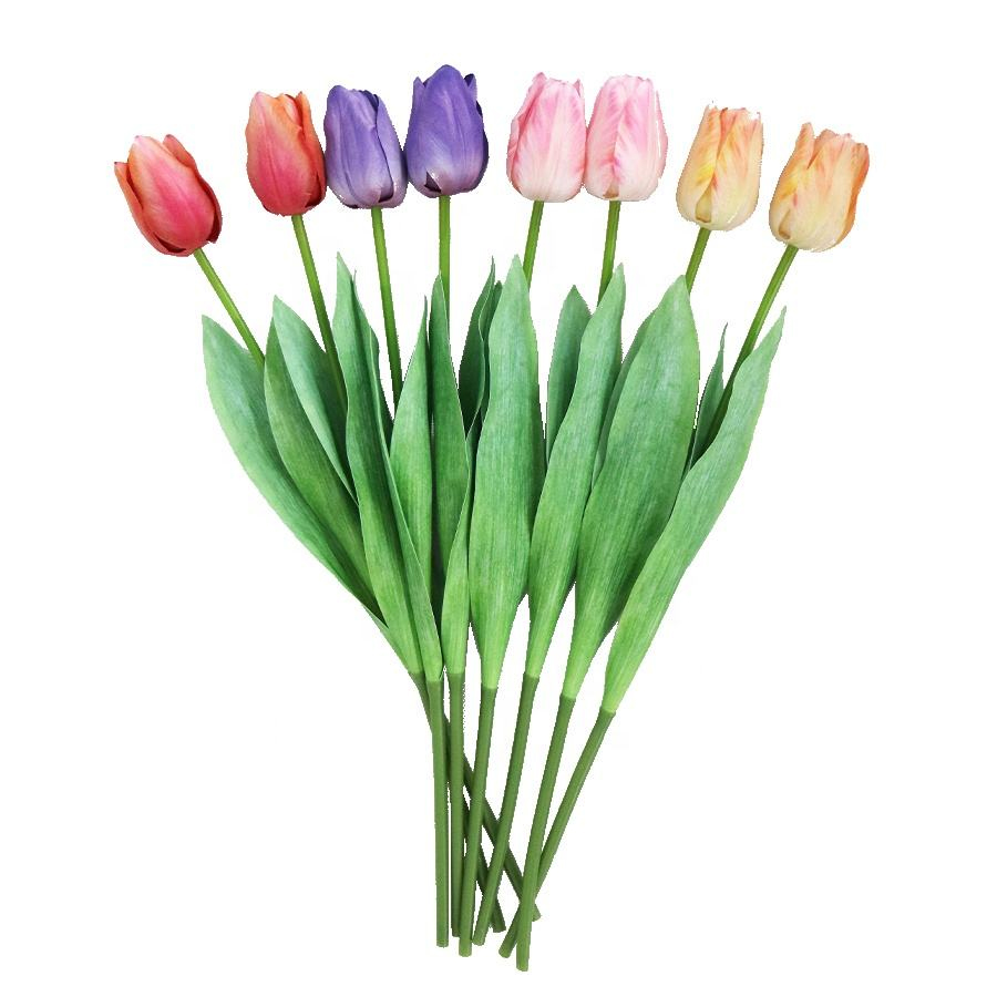 decorative tulip flower 