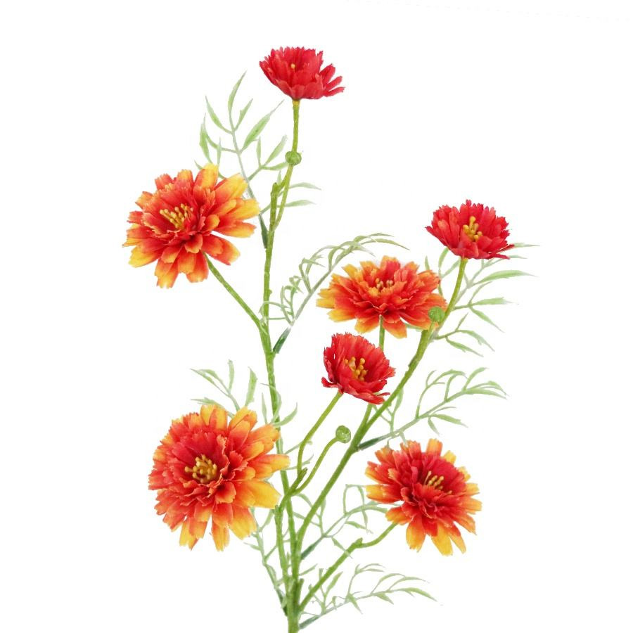 Daisy Stem