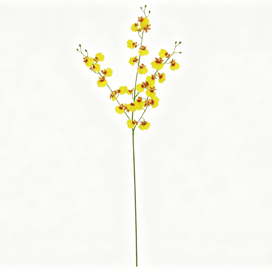yellow dancing orchid