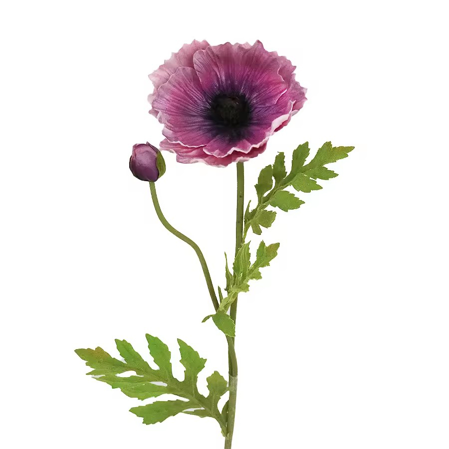 poppy stem wholesale