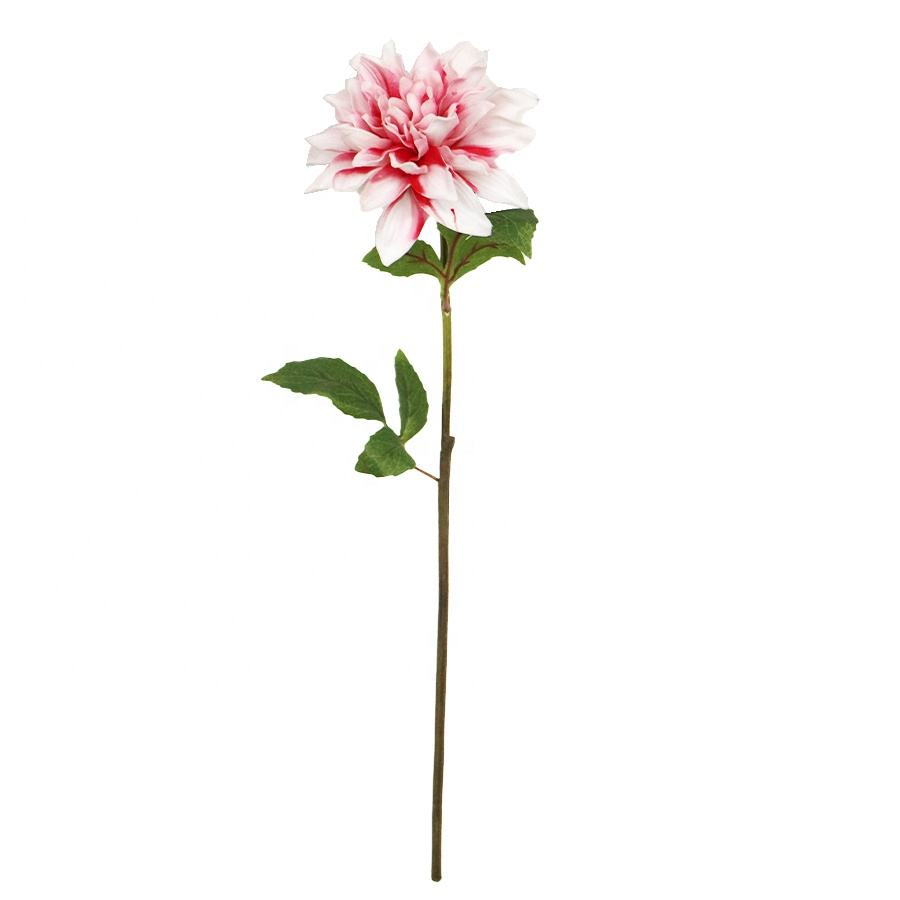 dahlia stems