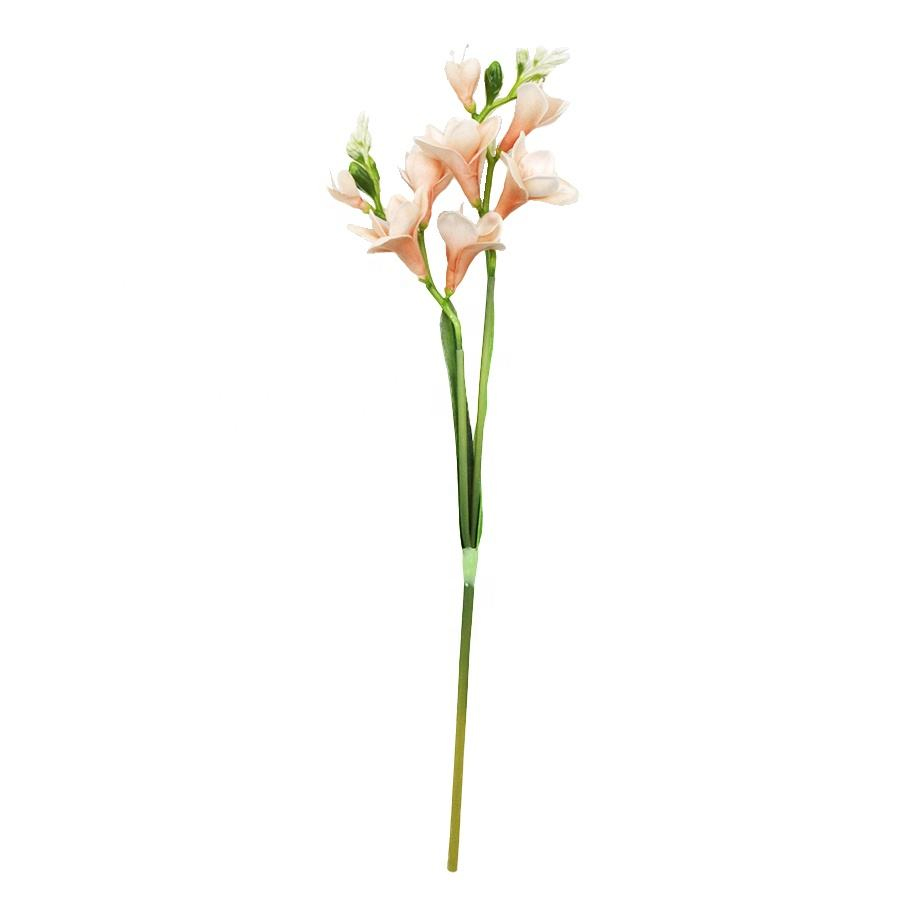 freesia stem wholesale