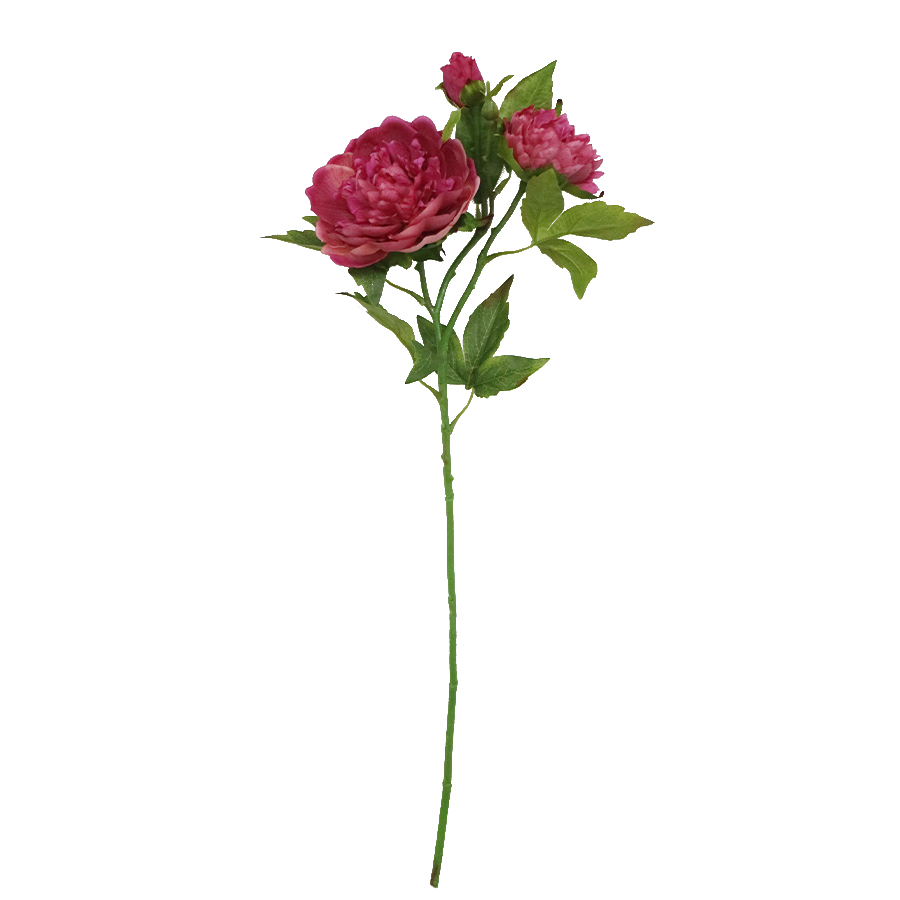 red peony stems