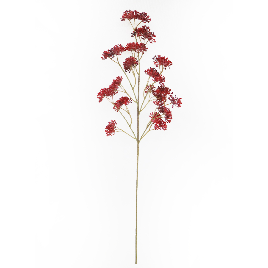 berry stem