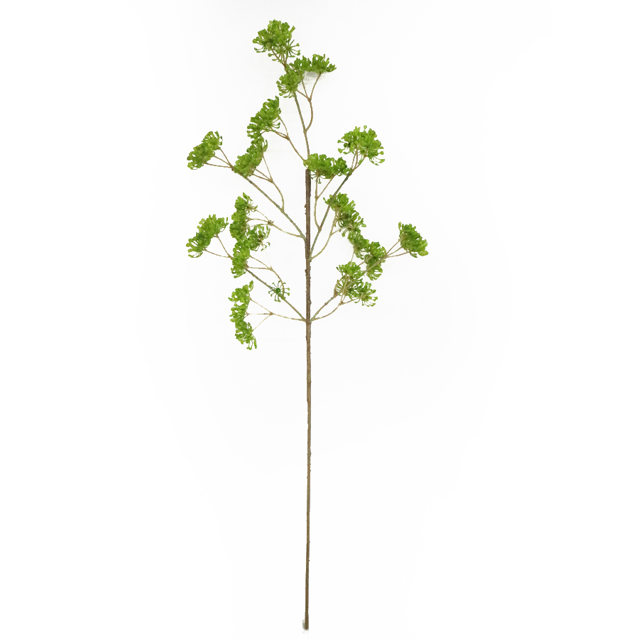 green berry stem