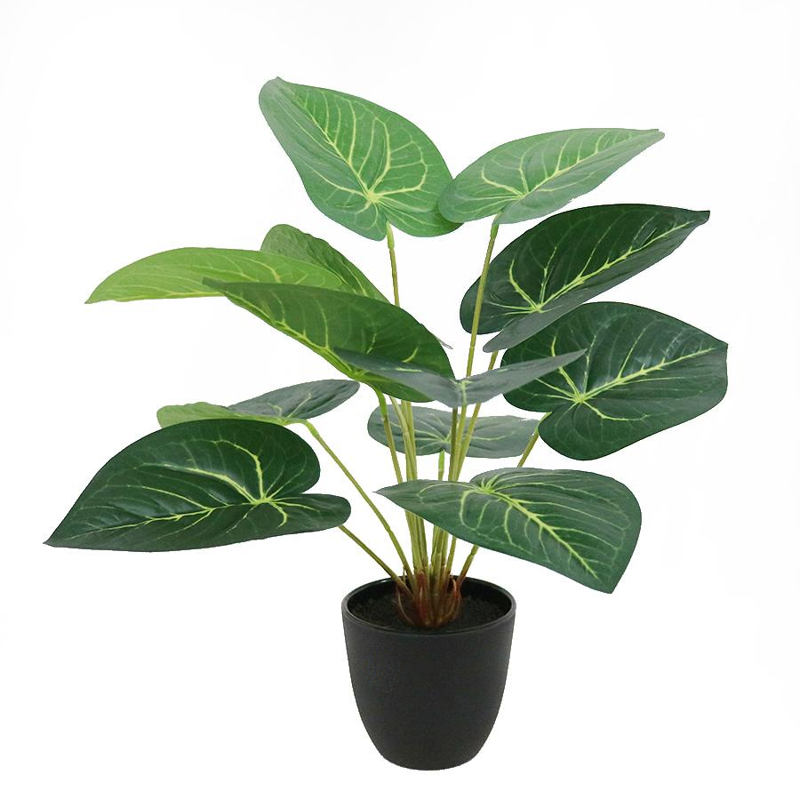 artificial plant bonsai