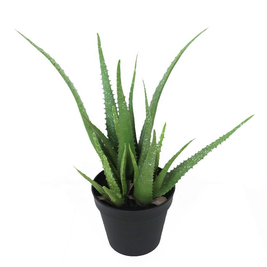 plastic aloe plant