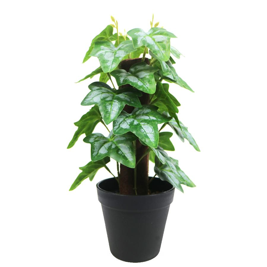 Artificial Ivy Plant
