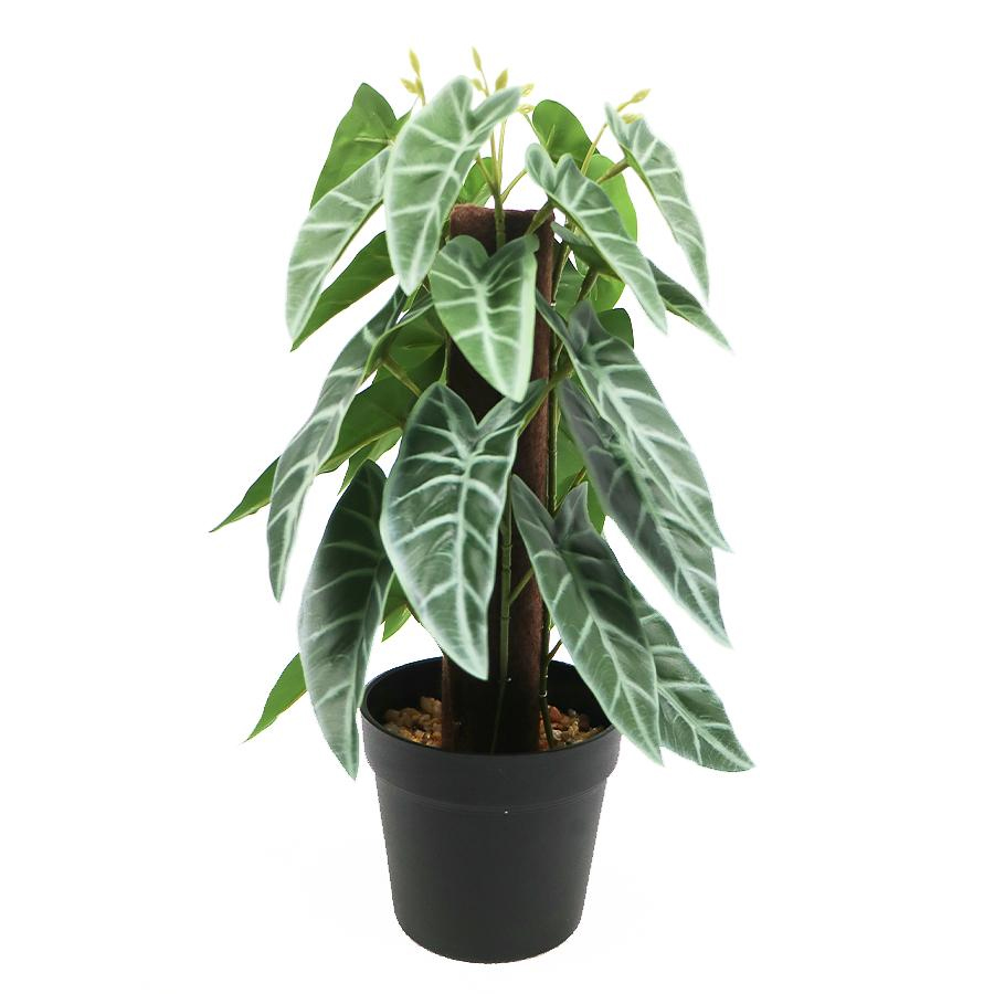 decorative faux plant 
