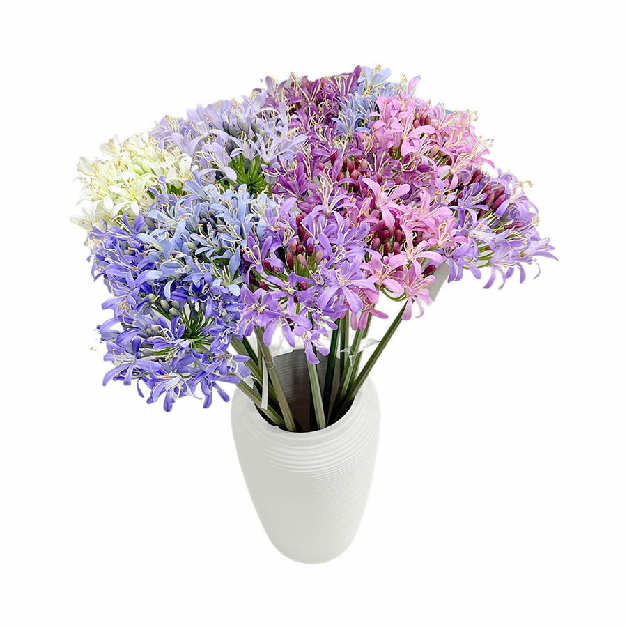 agapanthus stem