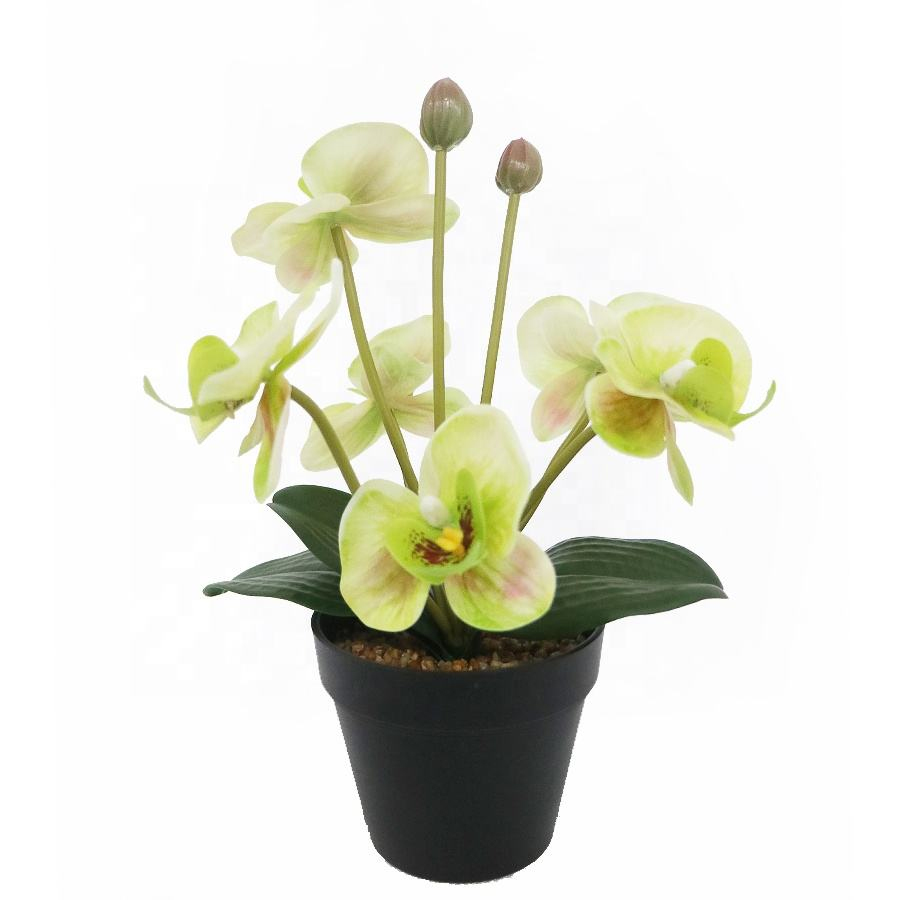 artificial orchid plant