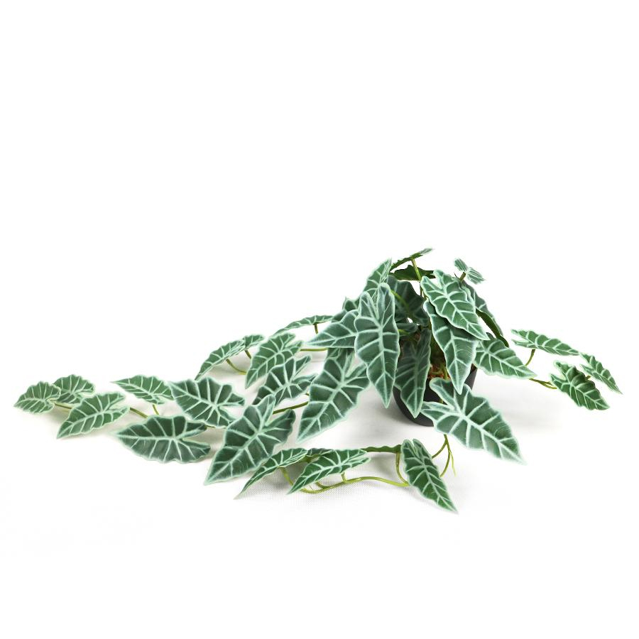 fake plant