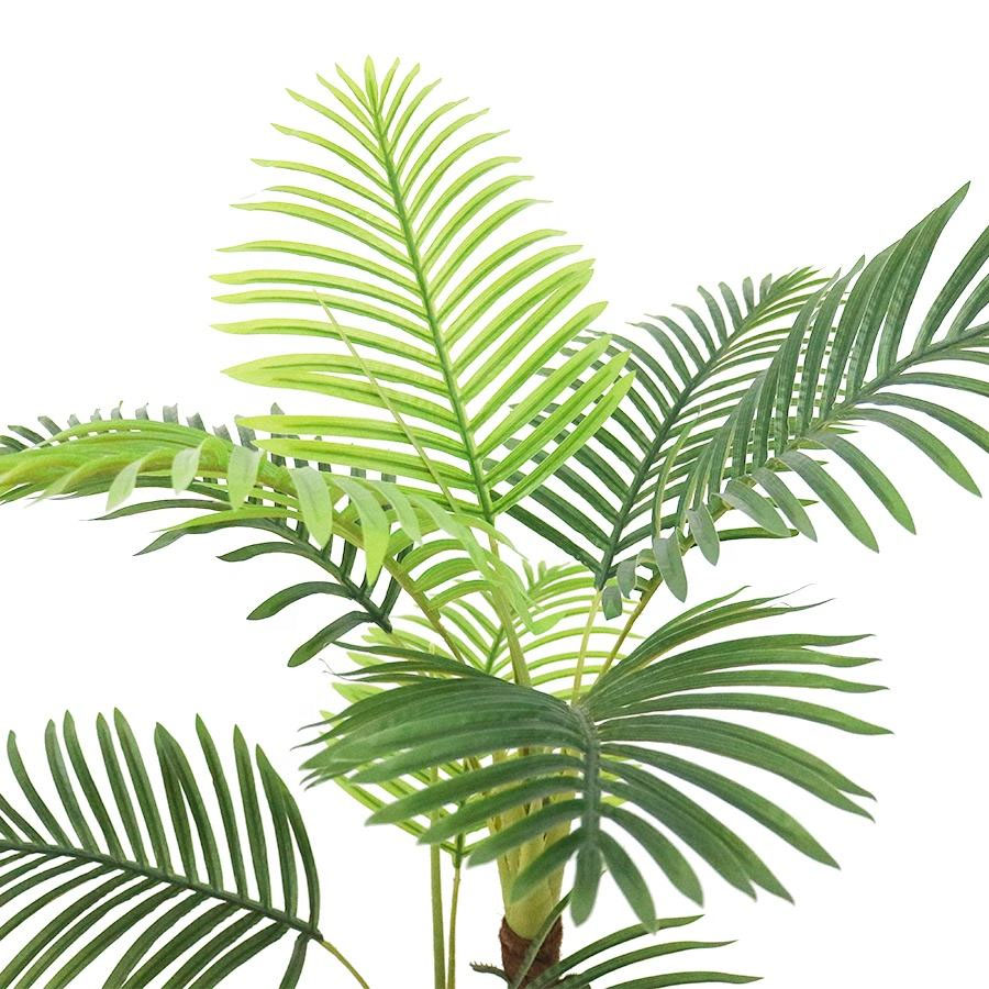 palm leaves