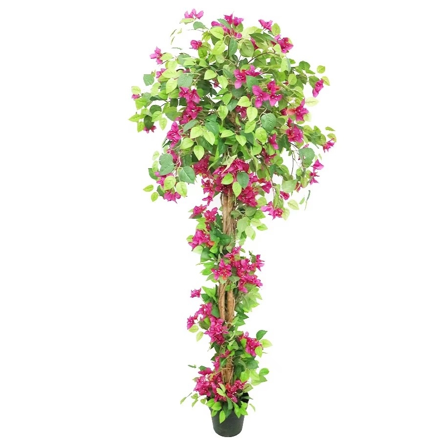 bougainvillea tree painting