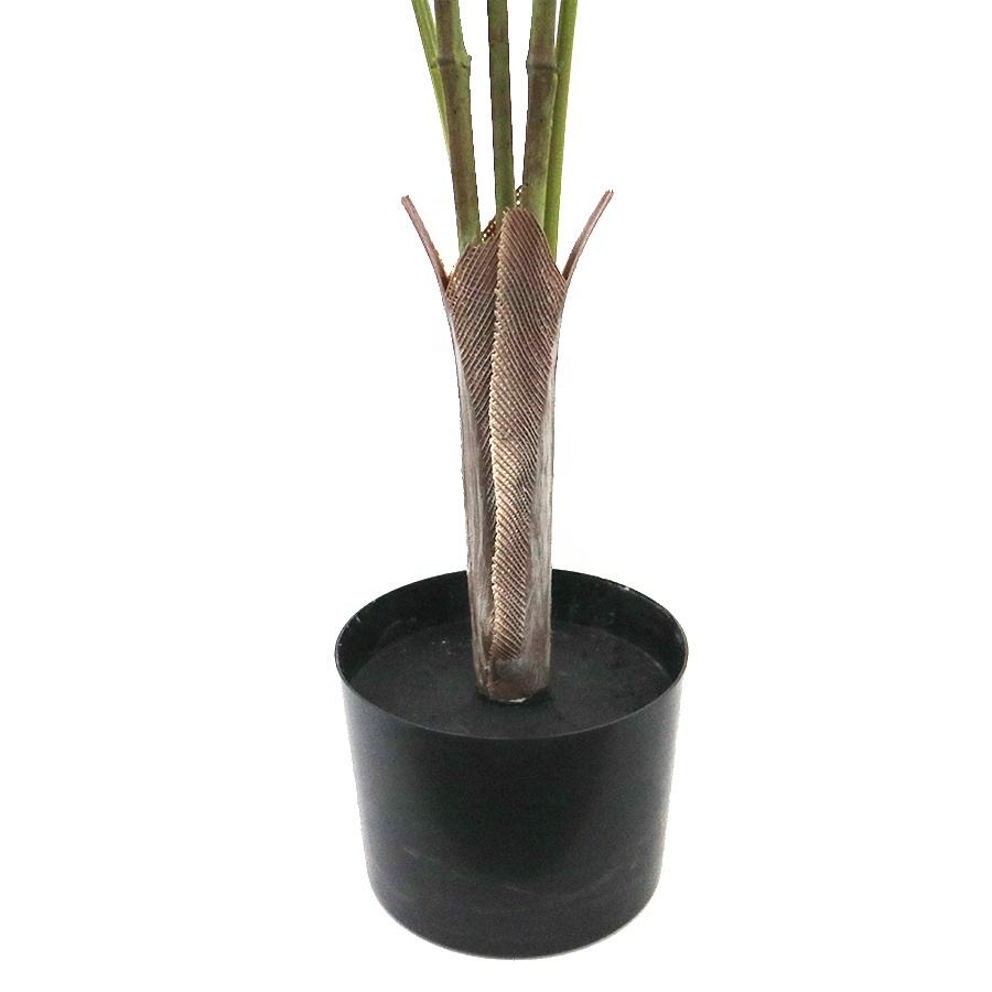palm tree