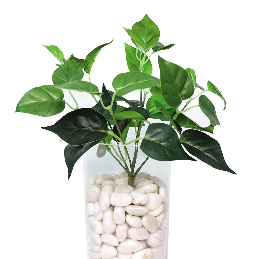 FR green plant stem FR green plant stem