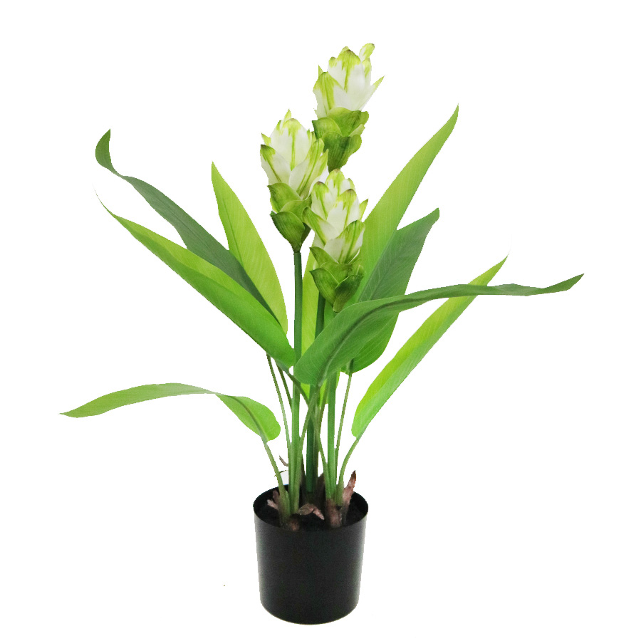 faux curcuma plant