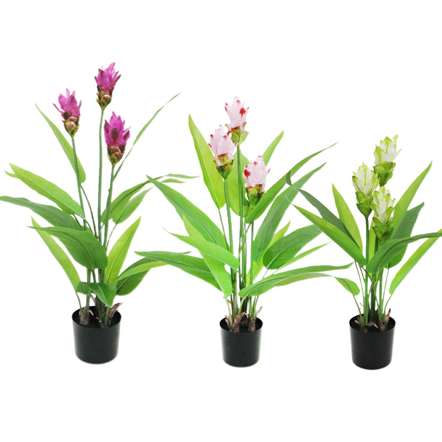artificial curcuma plant