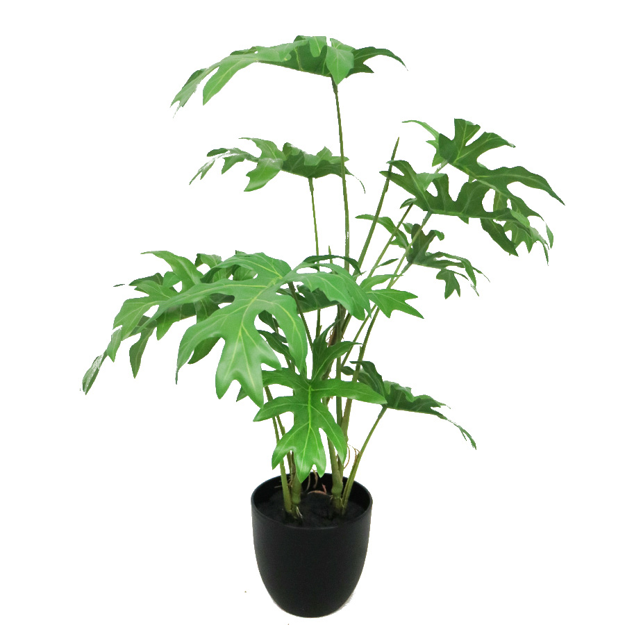 artificial philodendron plant