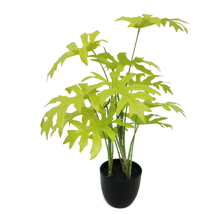 artificial philodendron plant