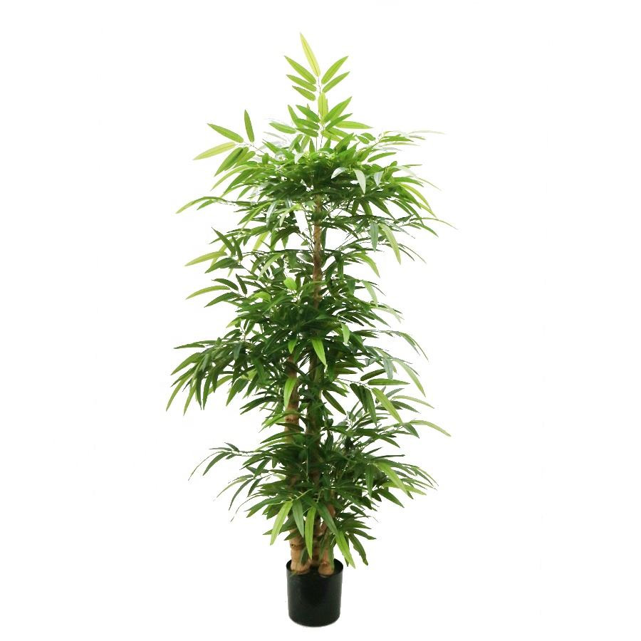 180cm Buddha bamboo tree