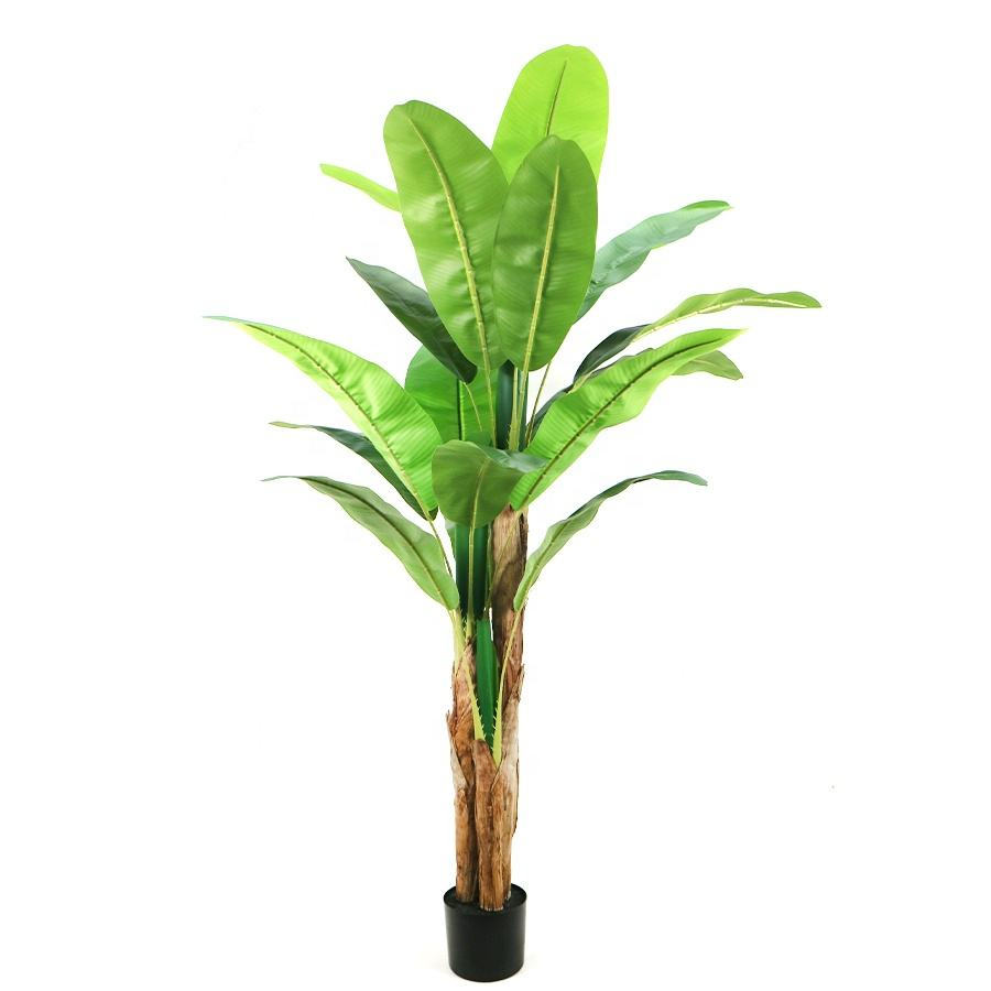 180cm banana tree