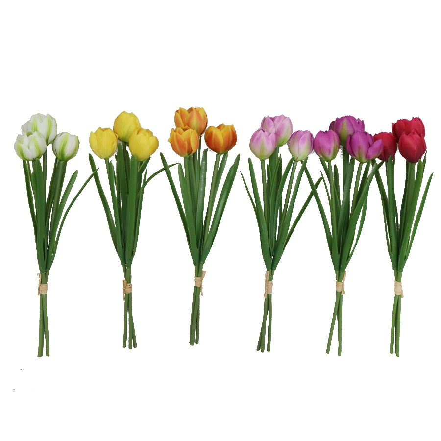tulip bundled