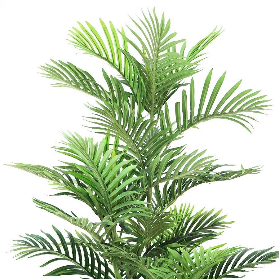palm tree